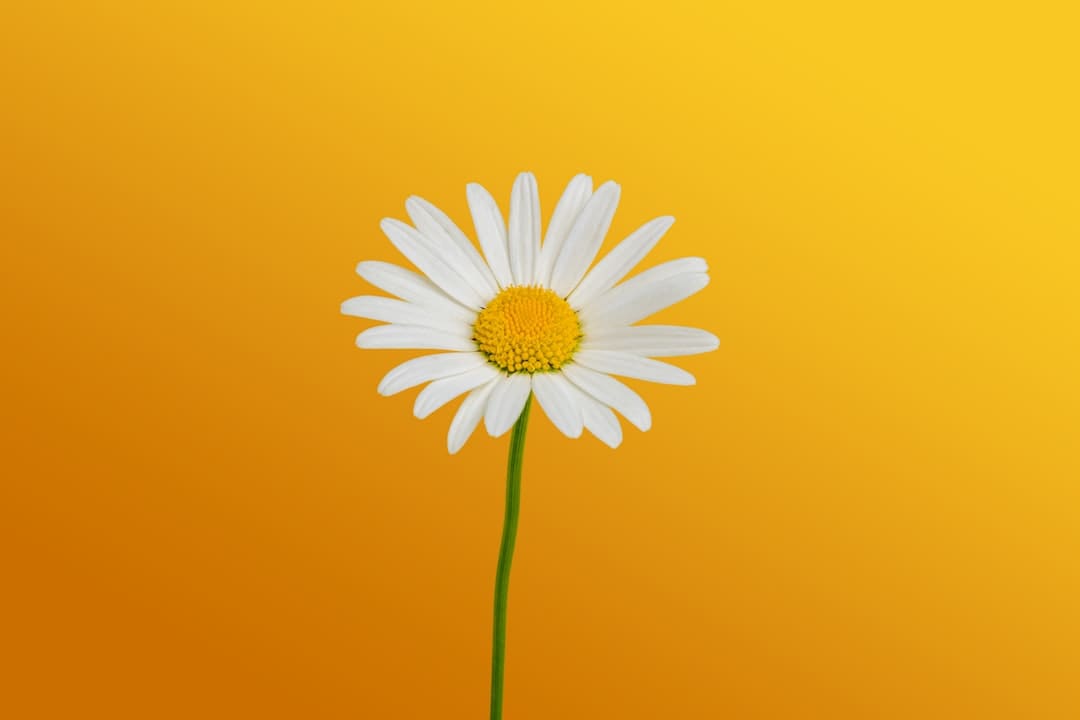 http://www.kcrea.cc/skin/default/image/zoomin.gif